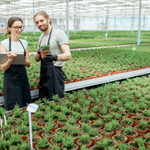 El PERTE Agroalimentario se abre a todas las micropymes del sector